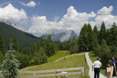 IMG_7349(CRW)